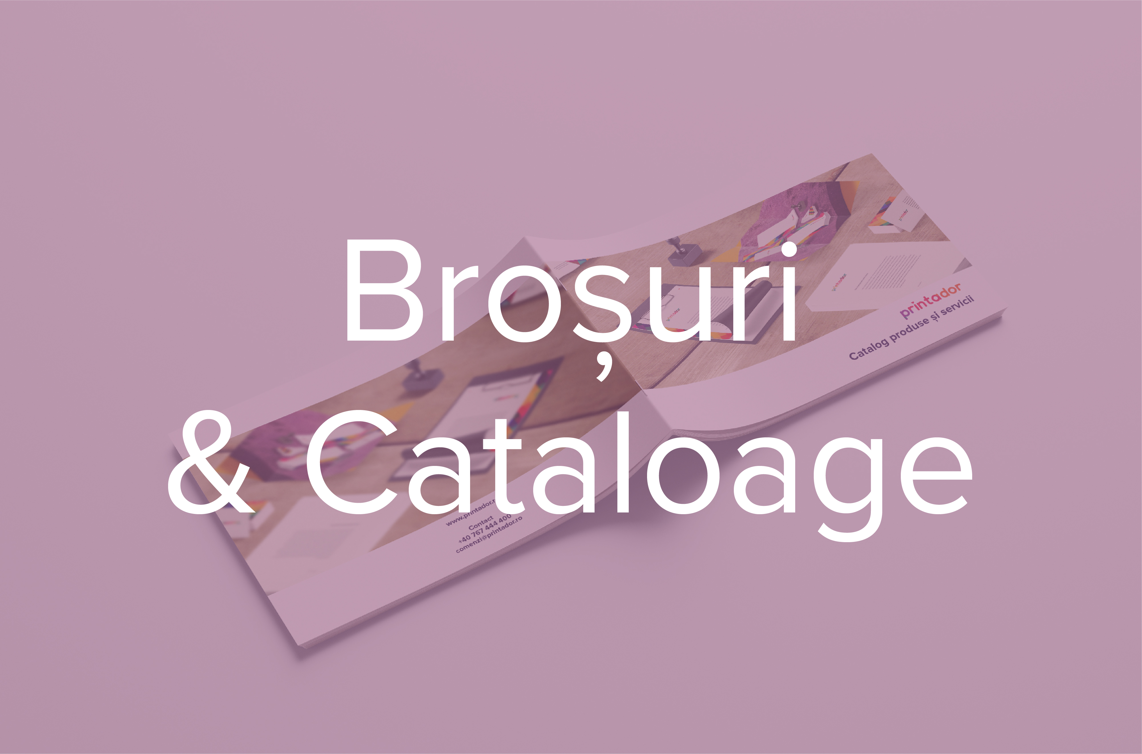 Broșuri & Cataloage